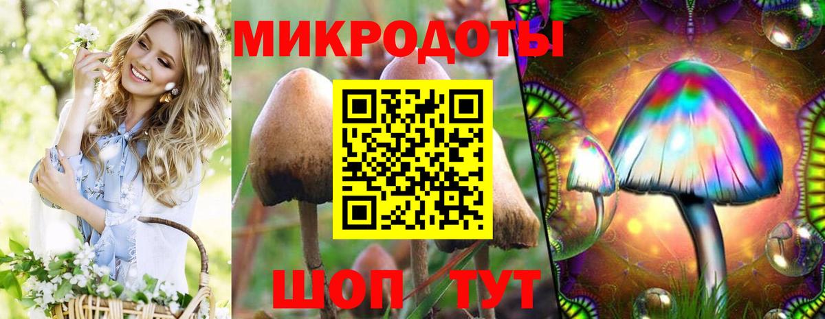 Псилоцибиновые грибы ЛСД Брянск