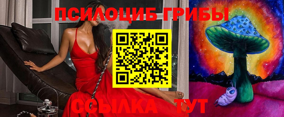 Галлюциногенные грибы Psilocybine cubensis  Вход с VPN  Псилоцибиновые грибы ЛСД  Брянск 